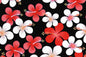 PAA1287 Black/Red