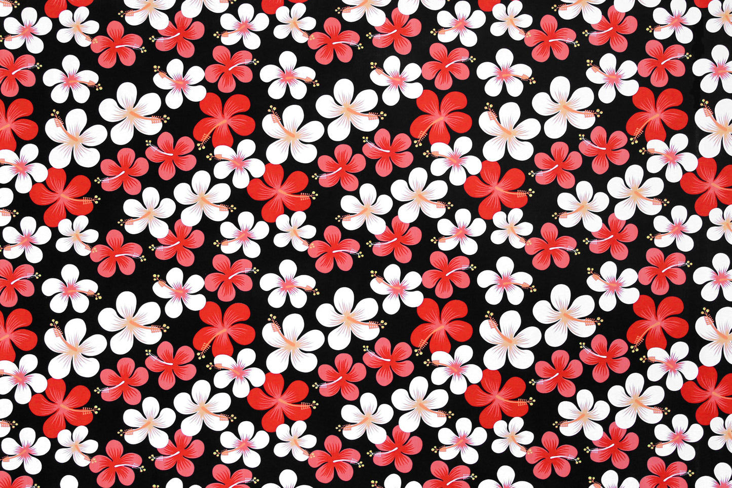 PAA1287 Black/Red