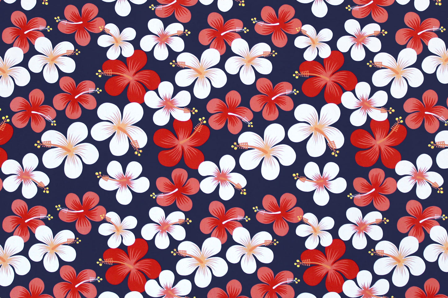 PAA1287 Navy/Red