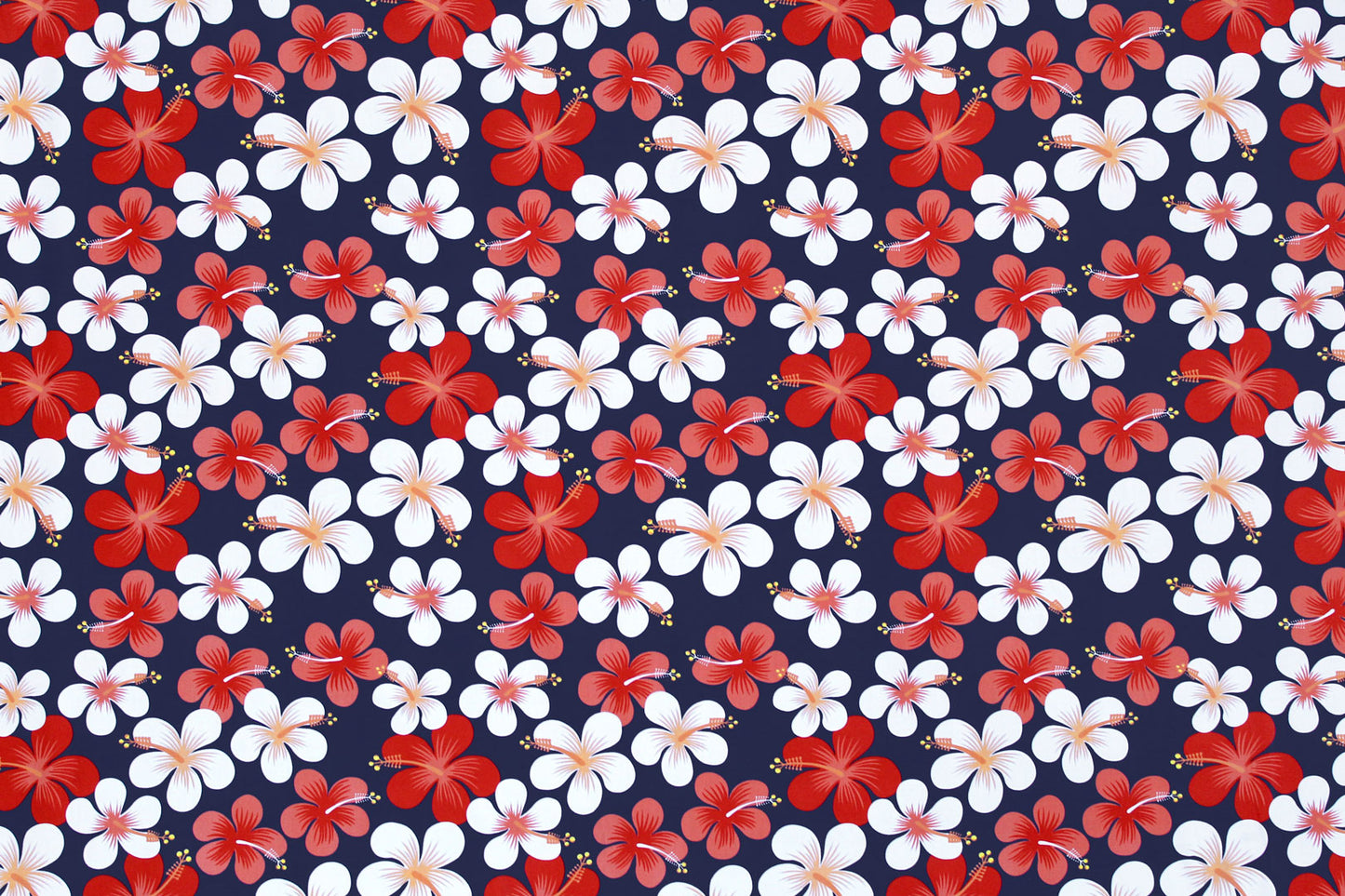 PAA1287 Navy/Red