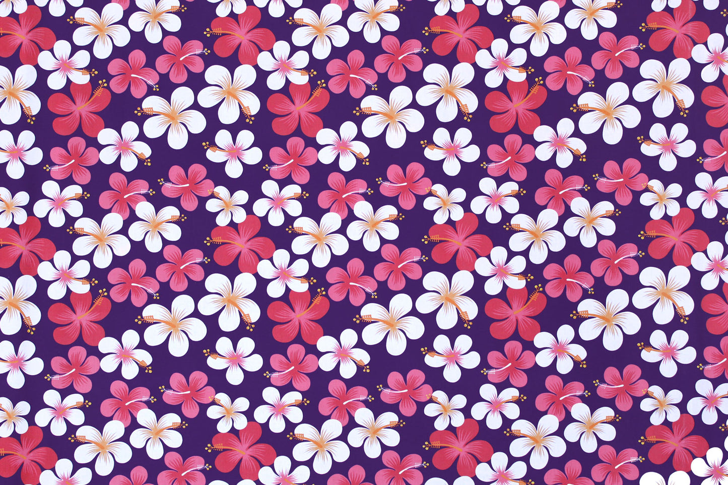 PAA1287 Purple