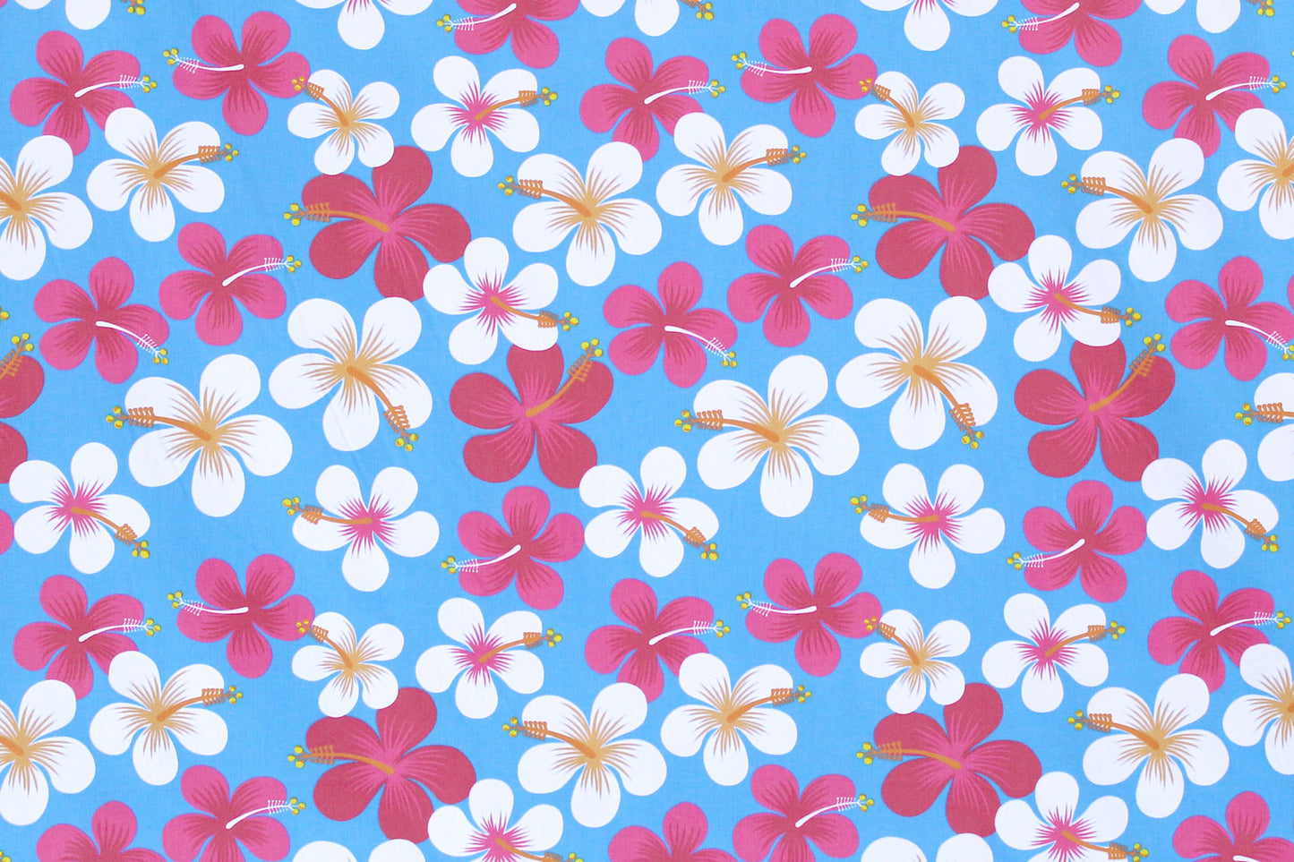 PAA1287 Turquoise