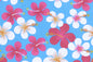 PAA1287 Turquoise