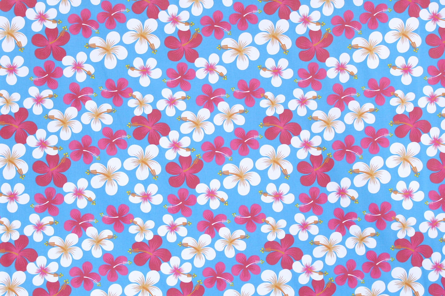 PAA1287 Turquoise