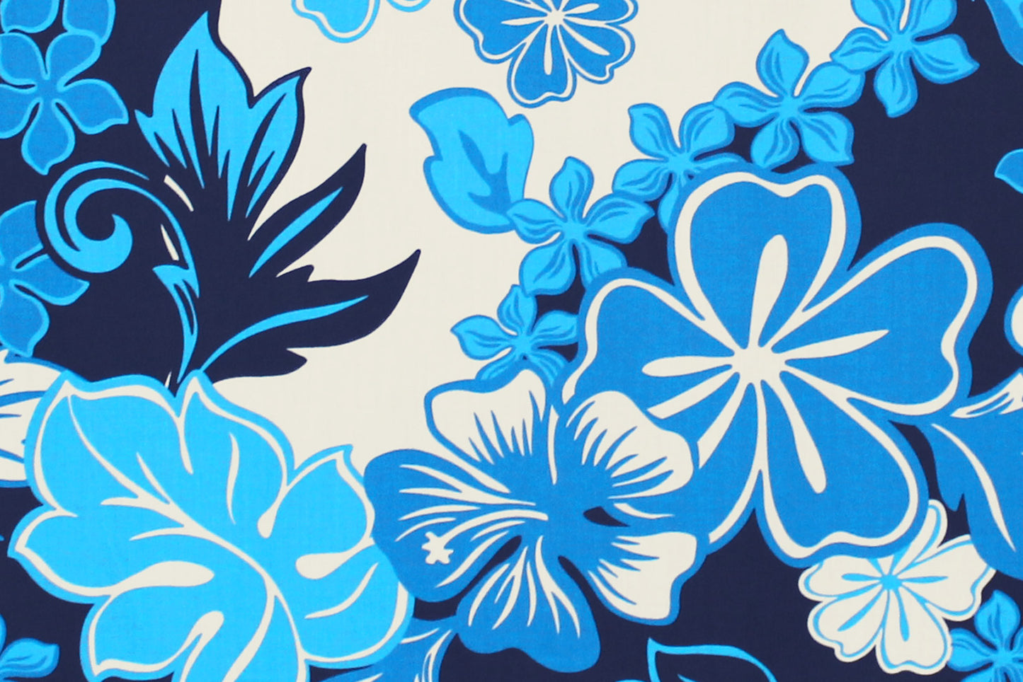 PAA1288 Blue