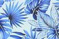 PAA1293 Blue