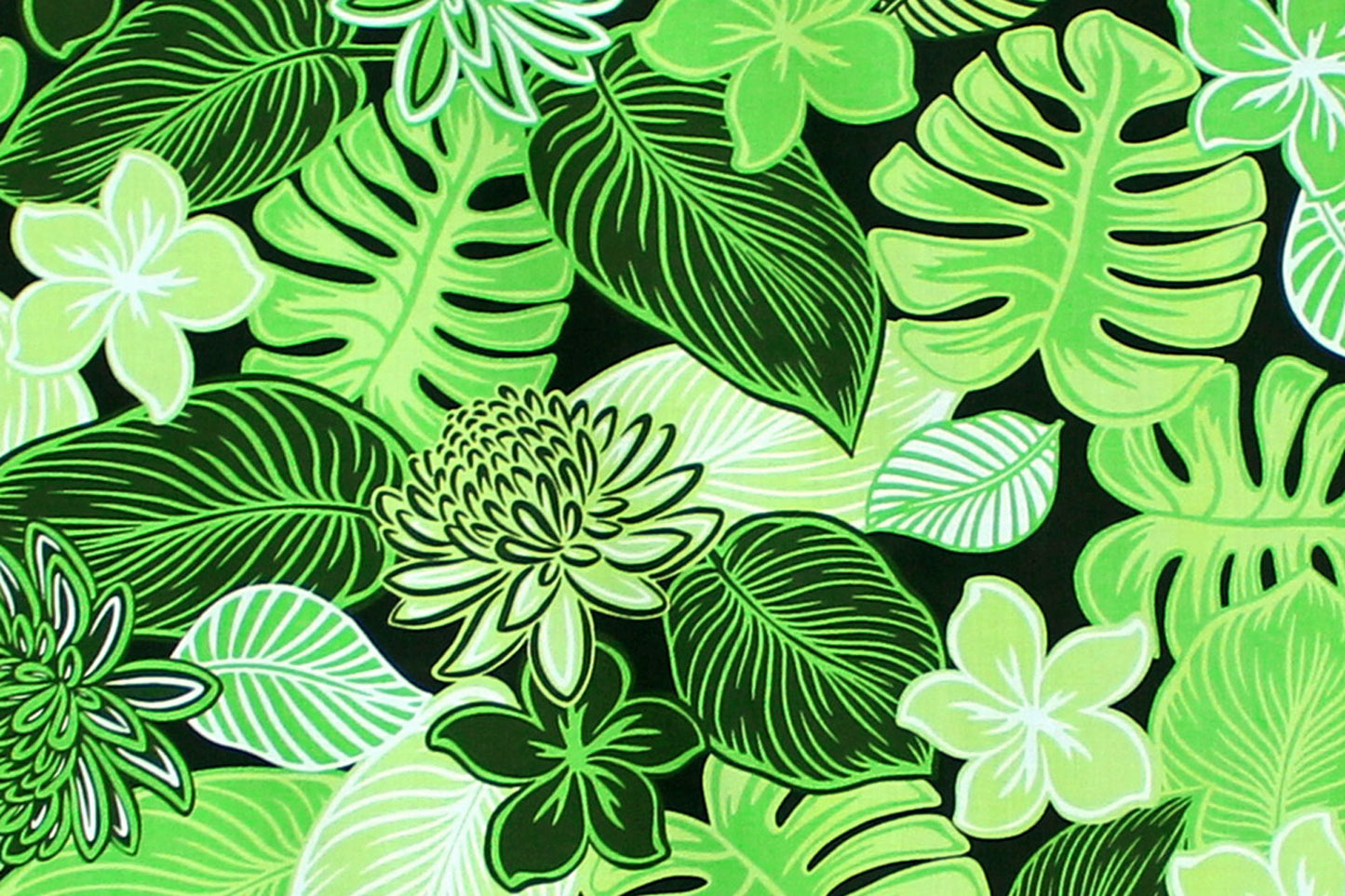 PAA1295 Green