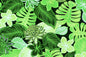 PAA1295 Green