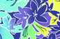 PAA1300 Turquoise/Purple
