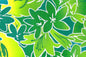 PAA1300 Yellow/Green