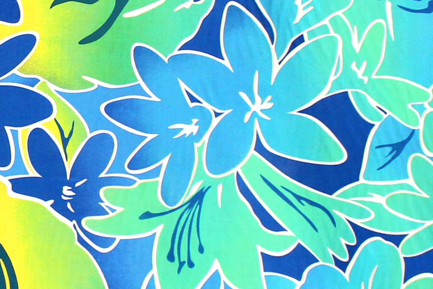 PAA1300 Yellow/Turquoise