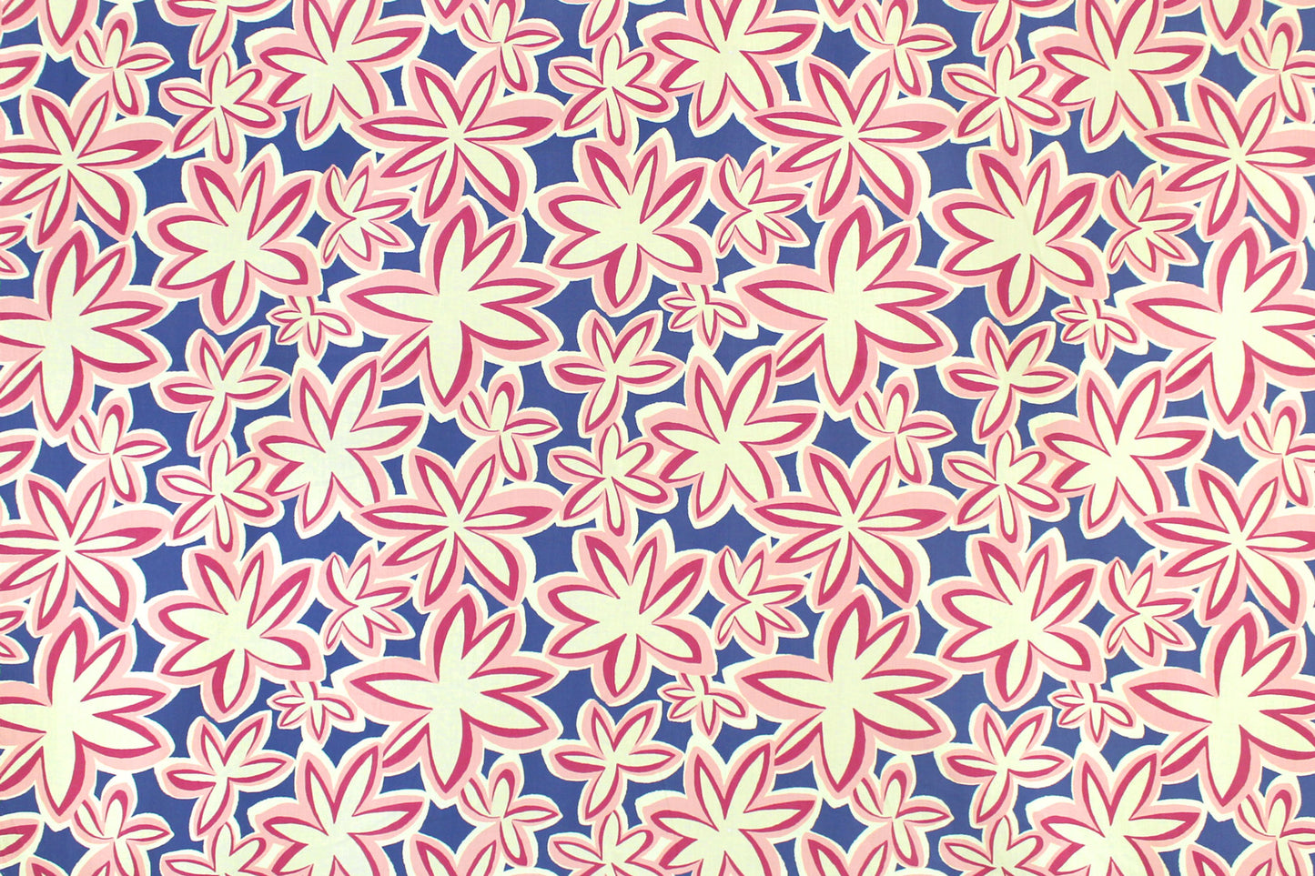 PAA1304 Blue/Pink