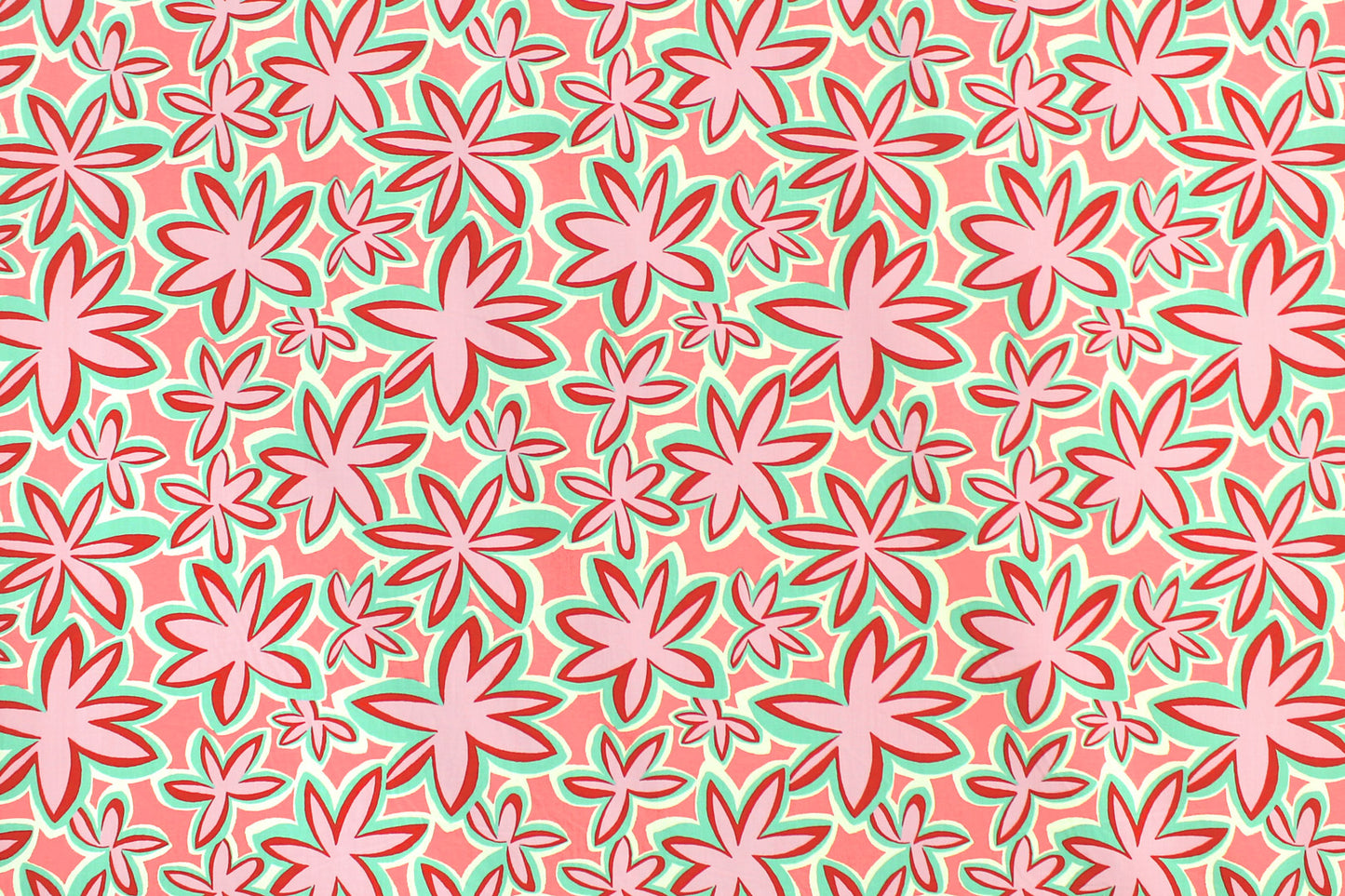 PAA1304 Coral