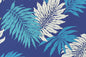 PAA1306 Blue