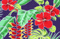 PAA1308 Purple