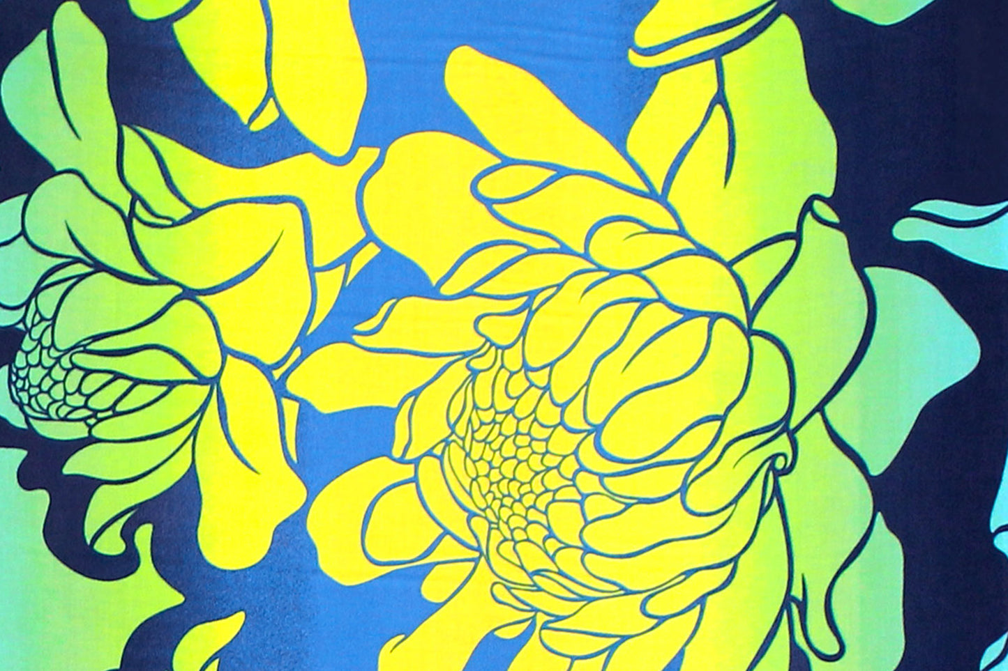 PAA1310 Yellow/Royal