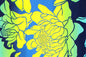 PAA1310 Yellow/Royal