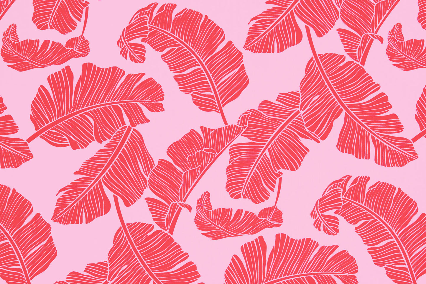 PAB0001 Pink