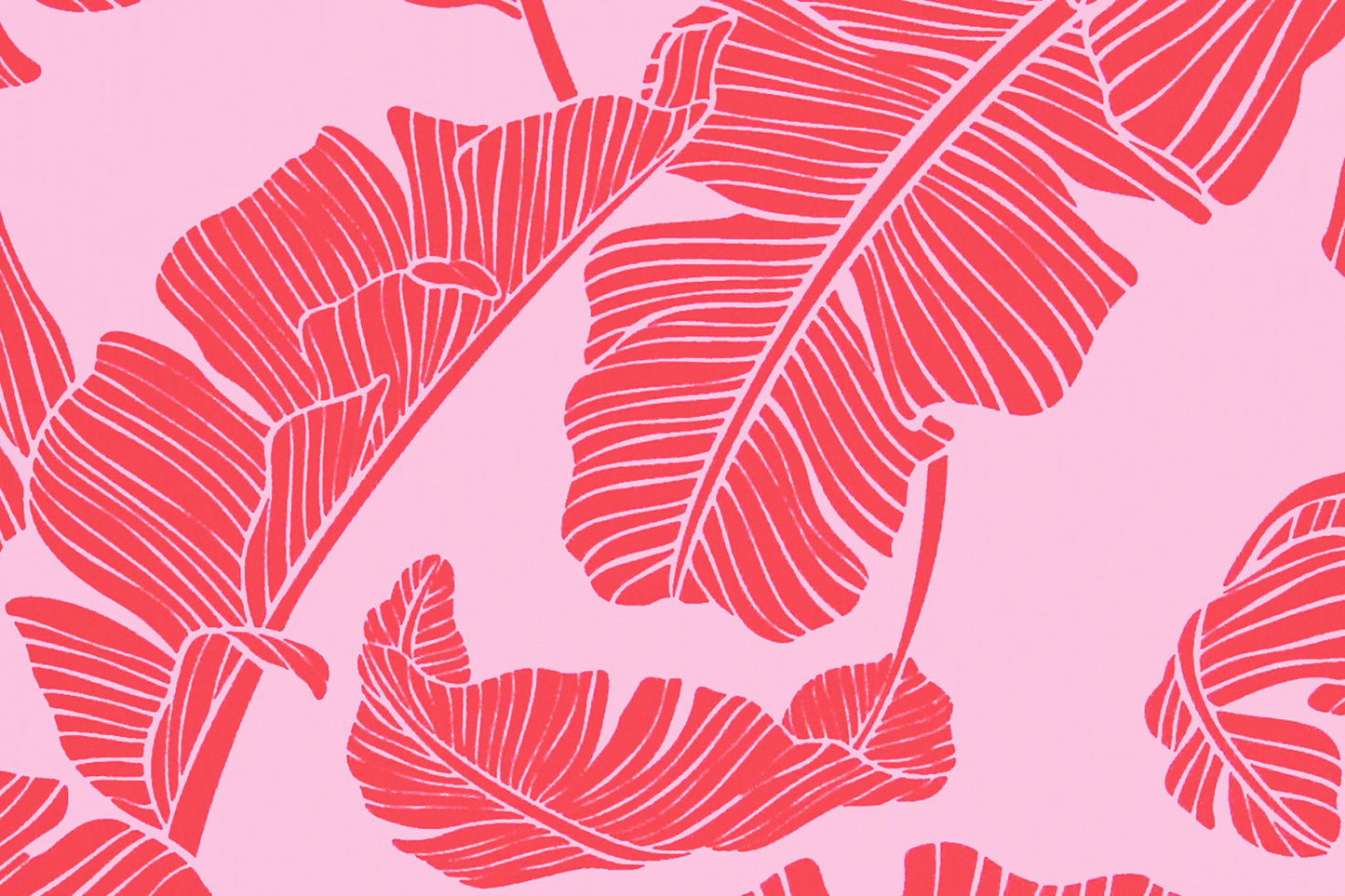 PAB0001 Pink