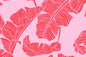 PAB0001 Pink