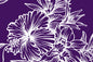 PAB0002 Cream/Plum