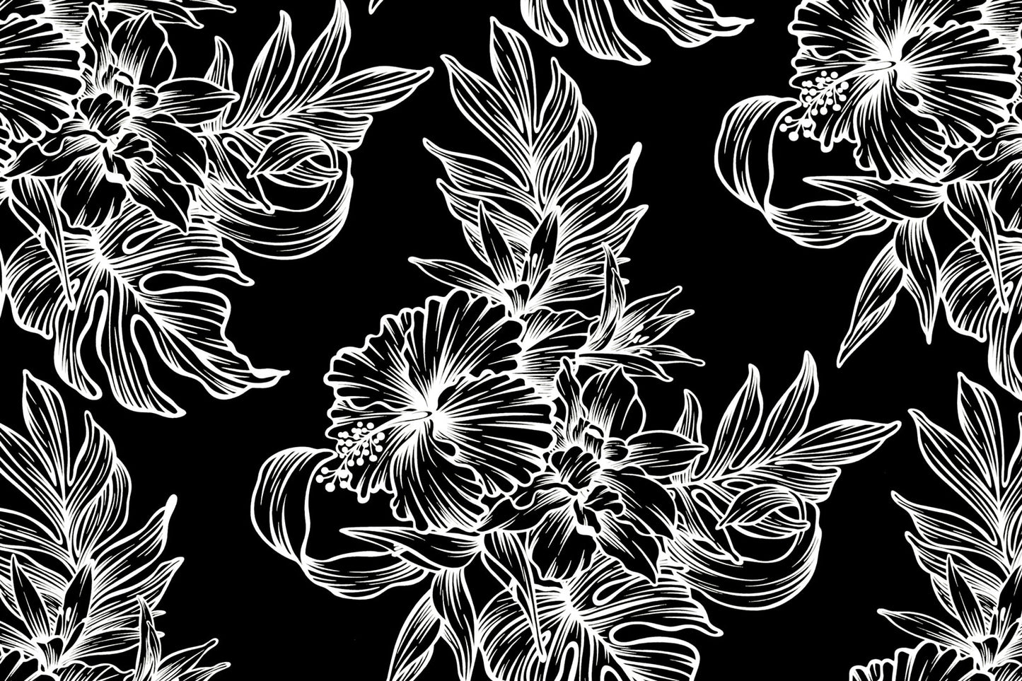 PAB0002 White/Black