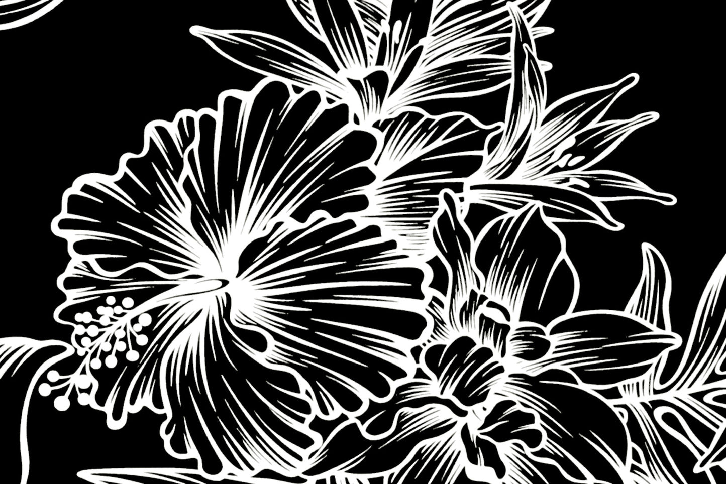 PAB0002 White/Black