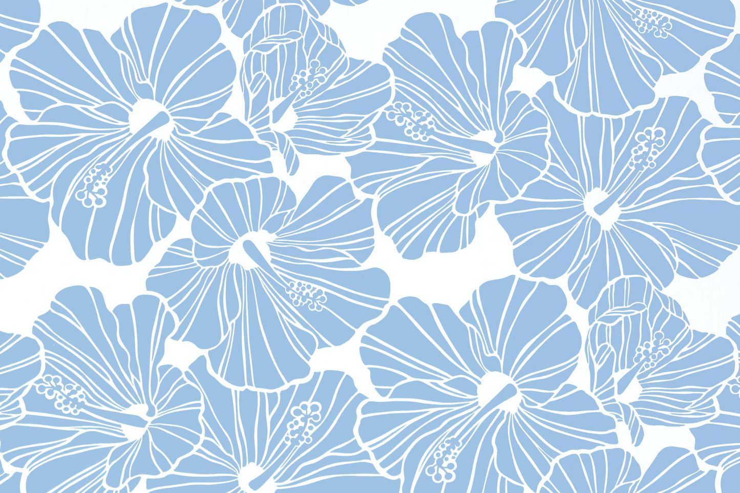 PAB0003 Blue/Cream