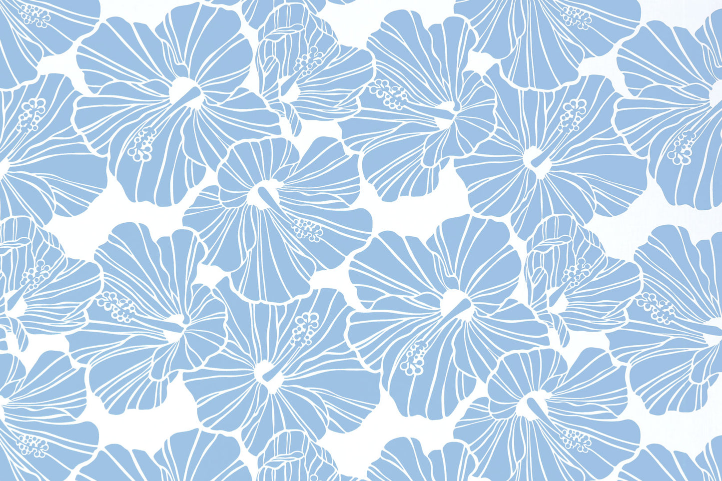 PAB0003 Blue/Cream
