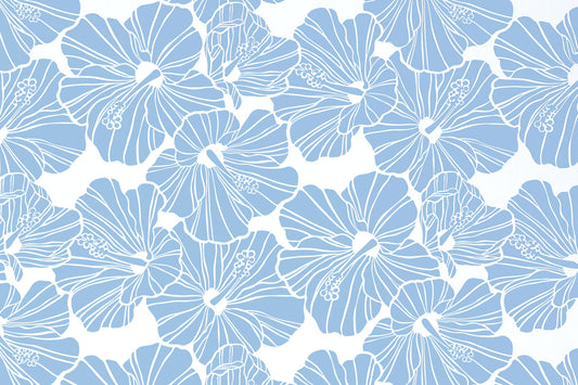 PAB0003 Blue/Cream