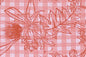 PAB0004 Guava