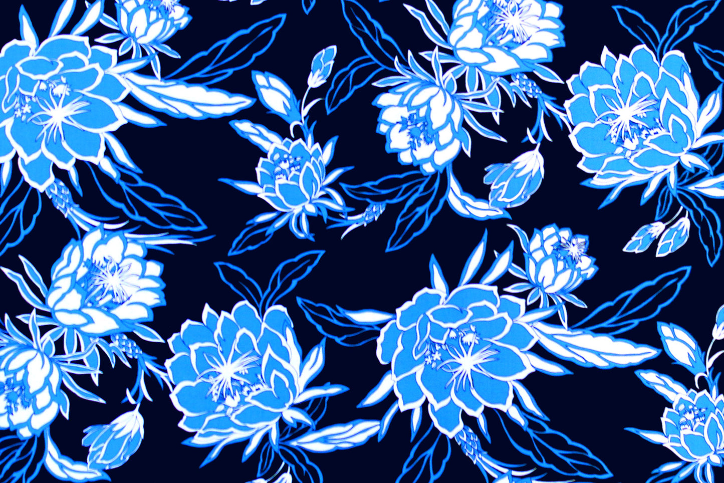 PAB1011 Navy