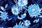 PAB1011 Navy