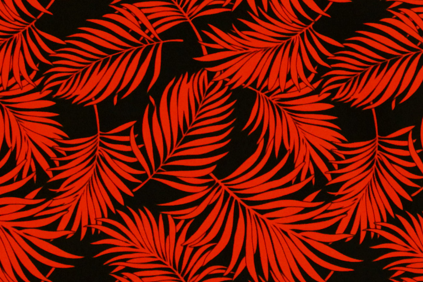 PAB1017 Black/Red