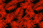 PAB1017 Black/Red
