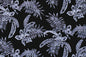 PAB1018 Black