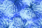PAB1019 Blue