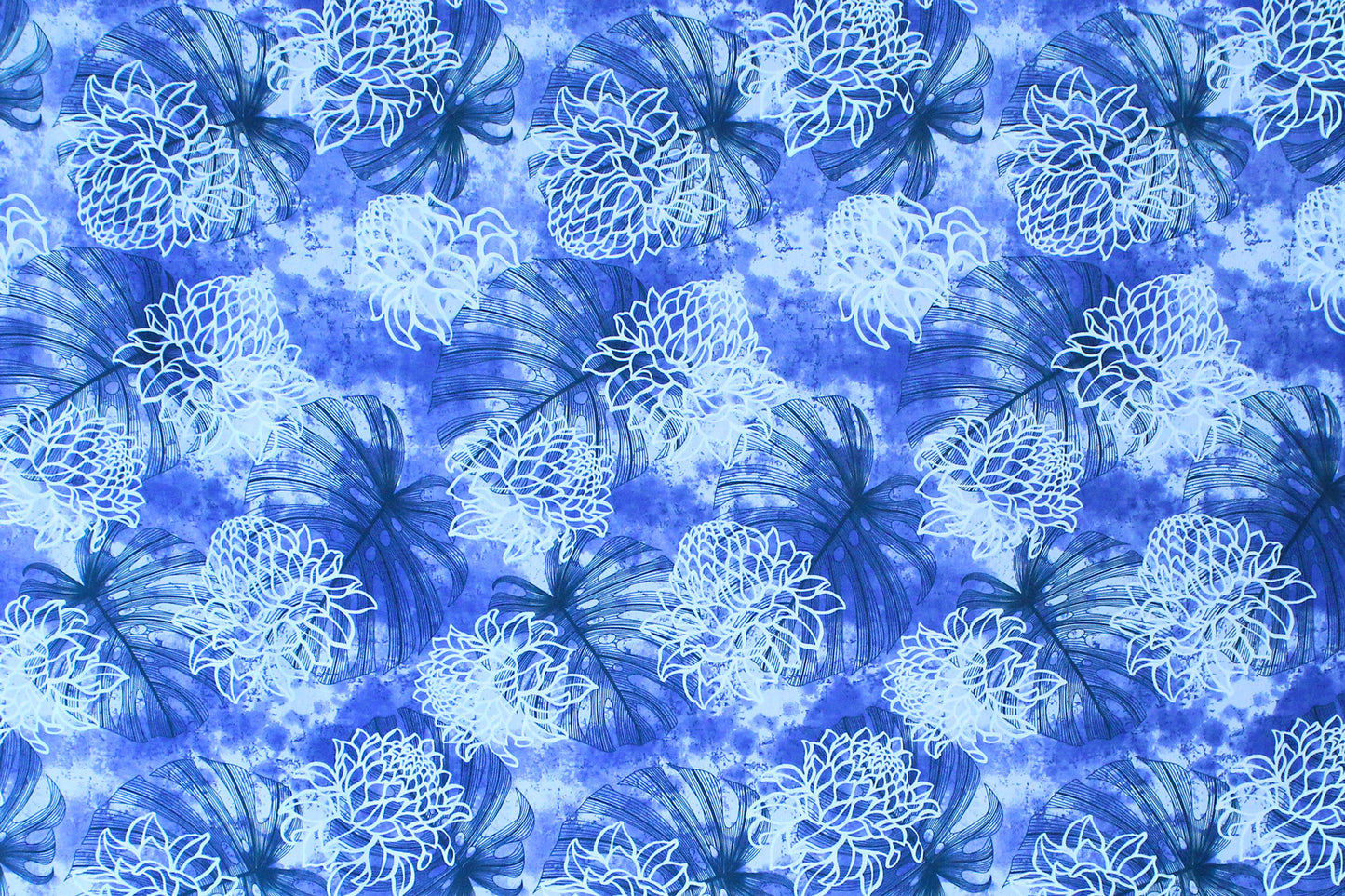 PAB1019 Blue