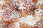PAB1019 Brown