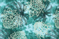 PAB1019 Teal