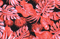 PAB1023 Black/Red