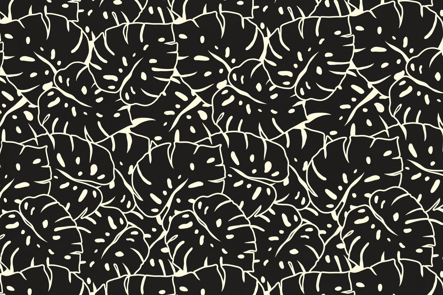 PAB1026 Black/Cream