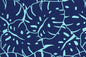 PAB1026 Navy
