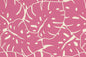 PAB1026 Pink