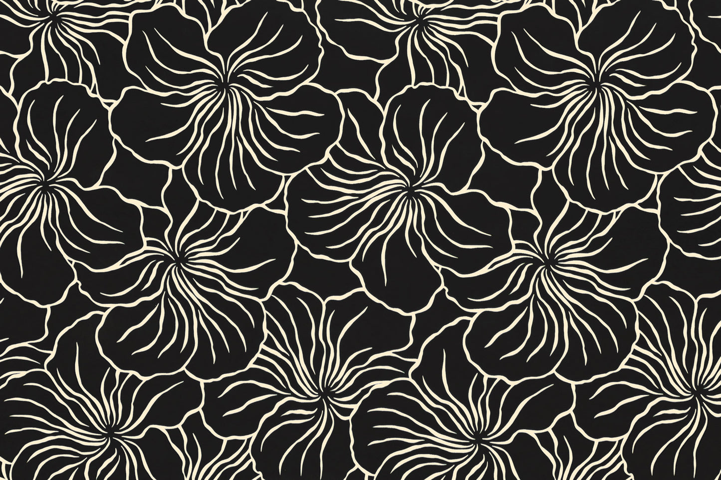 PAB1029 Black/Cream