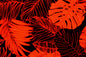 PAB1030 Black/Red