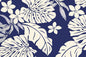 PAB1031 Navy/Cream
