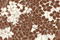 PAB1035 Brown/Cream