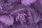 PAB1040 Purple
