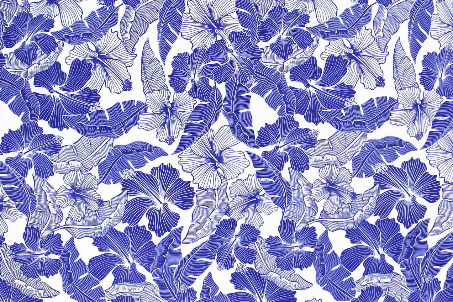 PAB1041 Cream/Navy